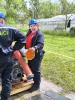 17.5.2025 - Okrskov sout Sedlit (msto konn Psinice)